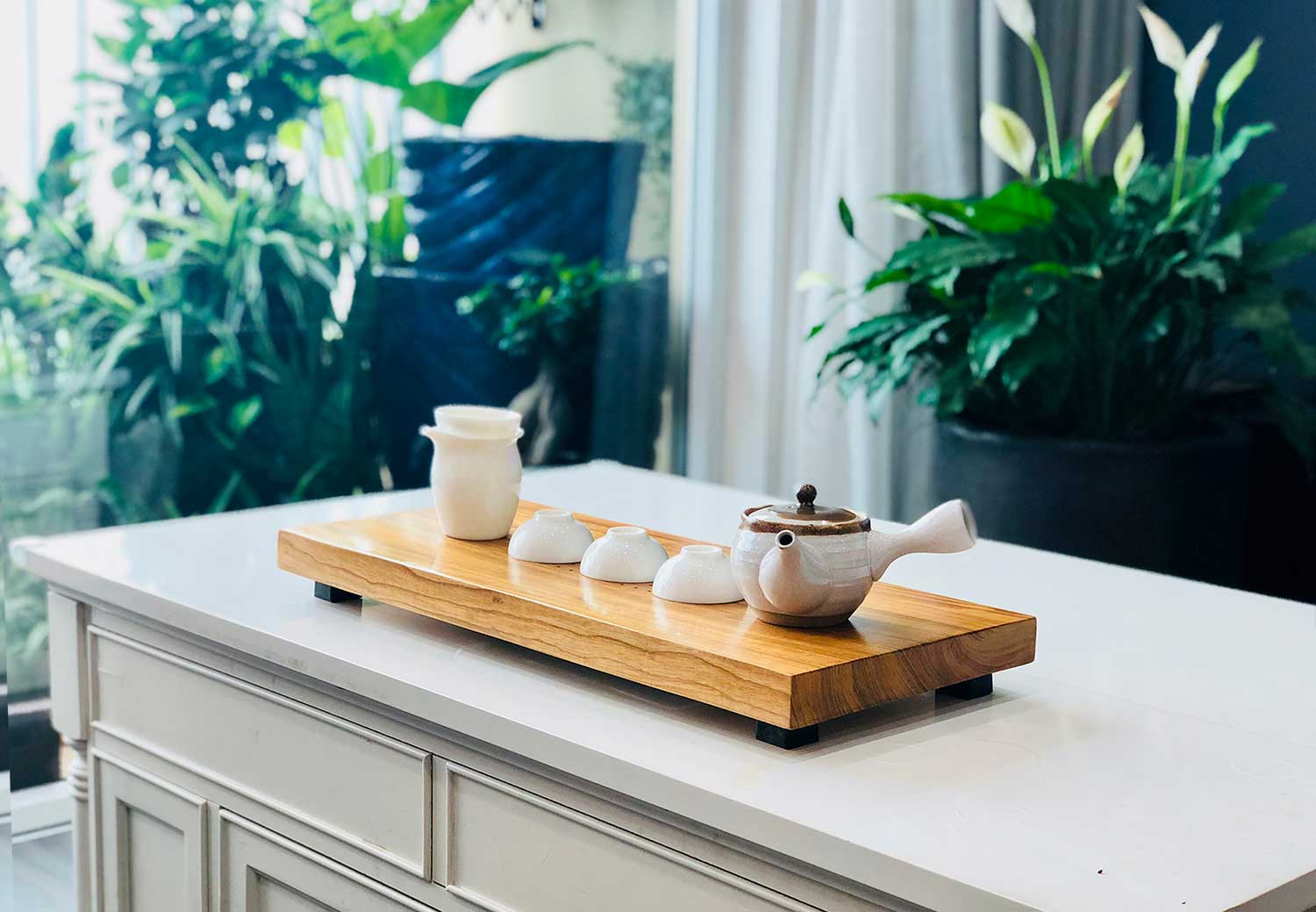 Tr&agrave; Shan Tuyết cổ thụ Suối Gi&agrave;ng
