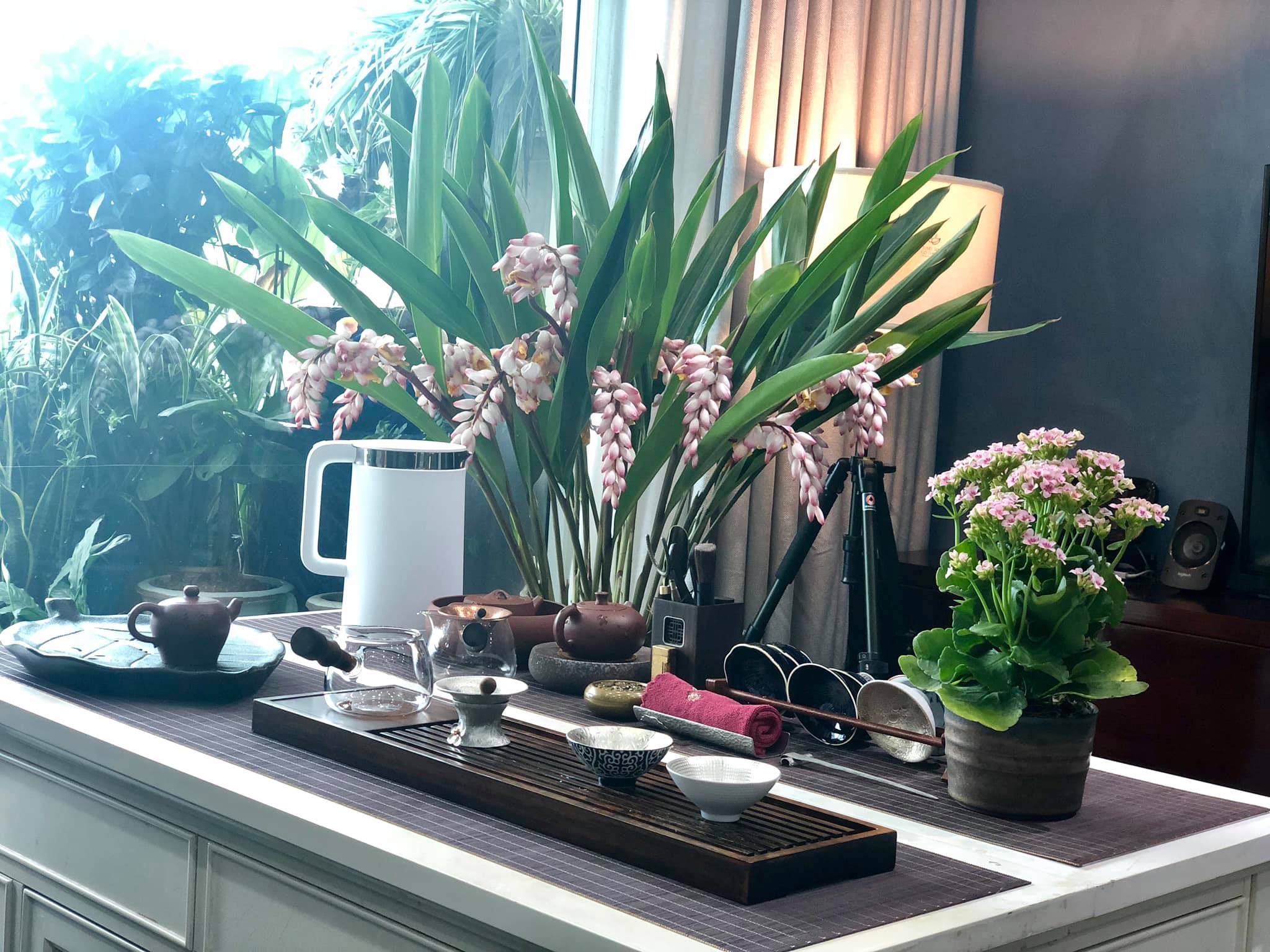 Truyền thuyết c&acirc;y ch&egrave; Shan Tuyết Suối Gi&agrave;ng.