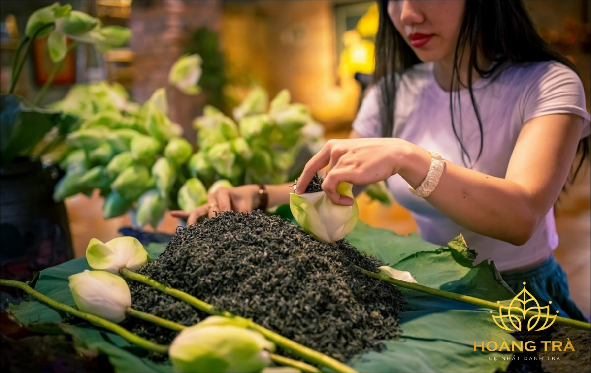 Trà sen Tây Hồ Hoàng Trà