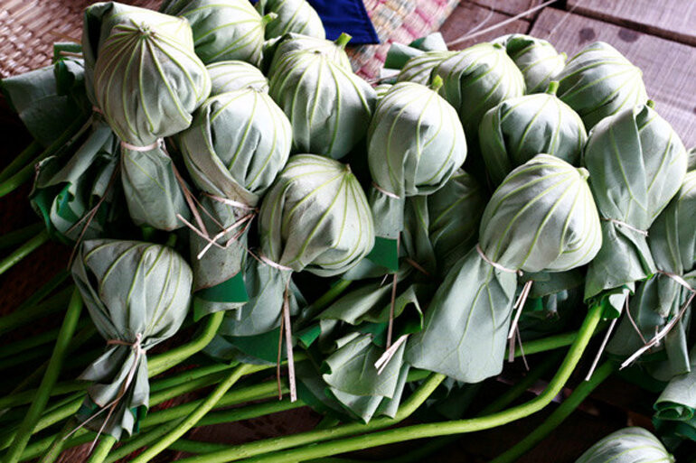 T&aacute;c dụng của tr&agrave; ướp sen Hồ T&acirc;y