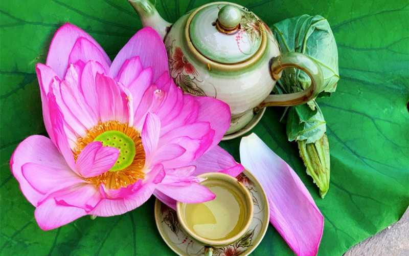 Tr&agrave; sen T&acirc;y Hồ: Kh&aacute;m ph&aacute; chi tiết c&aacute;c loại tr&agrave; ướp sen v&agrave; những lợi &iacute;ch tuyệt vời